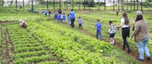 Estudantes da área rural poderão ter aulas práticas no campo