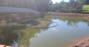 Tanque de peixes irregular gera multa e embargo de propriedade