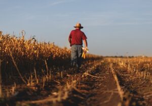 “Empresas seguradoras fazendo gato e sapato dos produtores”, diz agricultor sobre atraso para receber Seguro Rural