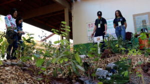 Da sala de aula para o campo: conheça a mostra técnica do Colégio Agrícola de Palotina