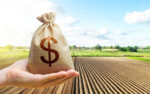 Plano Safra: aplicação do crédito rural chega a quase R$ 250 bilhões