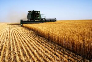 Saiba onde o recurso do Crédito Rural está sendo aplicado