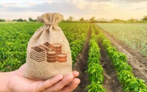 Painel com dados sobre Crédito Rural é atualizado para trazer mais facilidade ao produtor