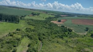 Liberação do plantio em reservas ambientais nos EUA é polêmica