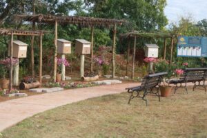 Colmeias de abelhas sem ferrão são instaladas em parques urbanos no Paraná