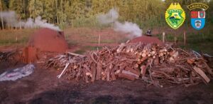Carvoaria ilegal é embargada no Paraná