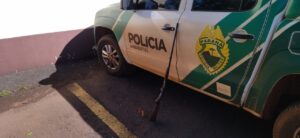 Caça ilegal termina com homem preso no Paraná
