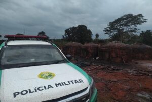 Carvoaria ilegal é fechada pela Polícia do Paraná