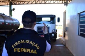 Demora na fiscalização de cargas pode afetar exportação de aves e suínos