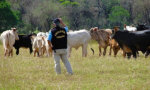 Fiscalização de cargas deve ficar lenta com a greve dos fiscais agropecuários