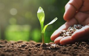 Após meses em alta, fertilizantes chegam a preços mais acessíveis para o produtor