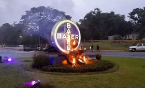 Integrantes do MST vandalizam sede da farmacêutica Bayer