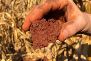 Degradação do solo agrícola é foco de investigação em pesquisa