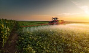Defensivos contra pragas que ameaçam agricultura serão prioridade de registro do Mapa