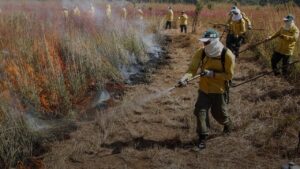 Comitê do fogo cria estratégias para evitar que estiagem resulte em grandes incêndios florestais