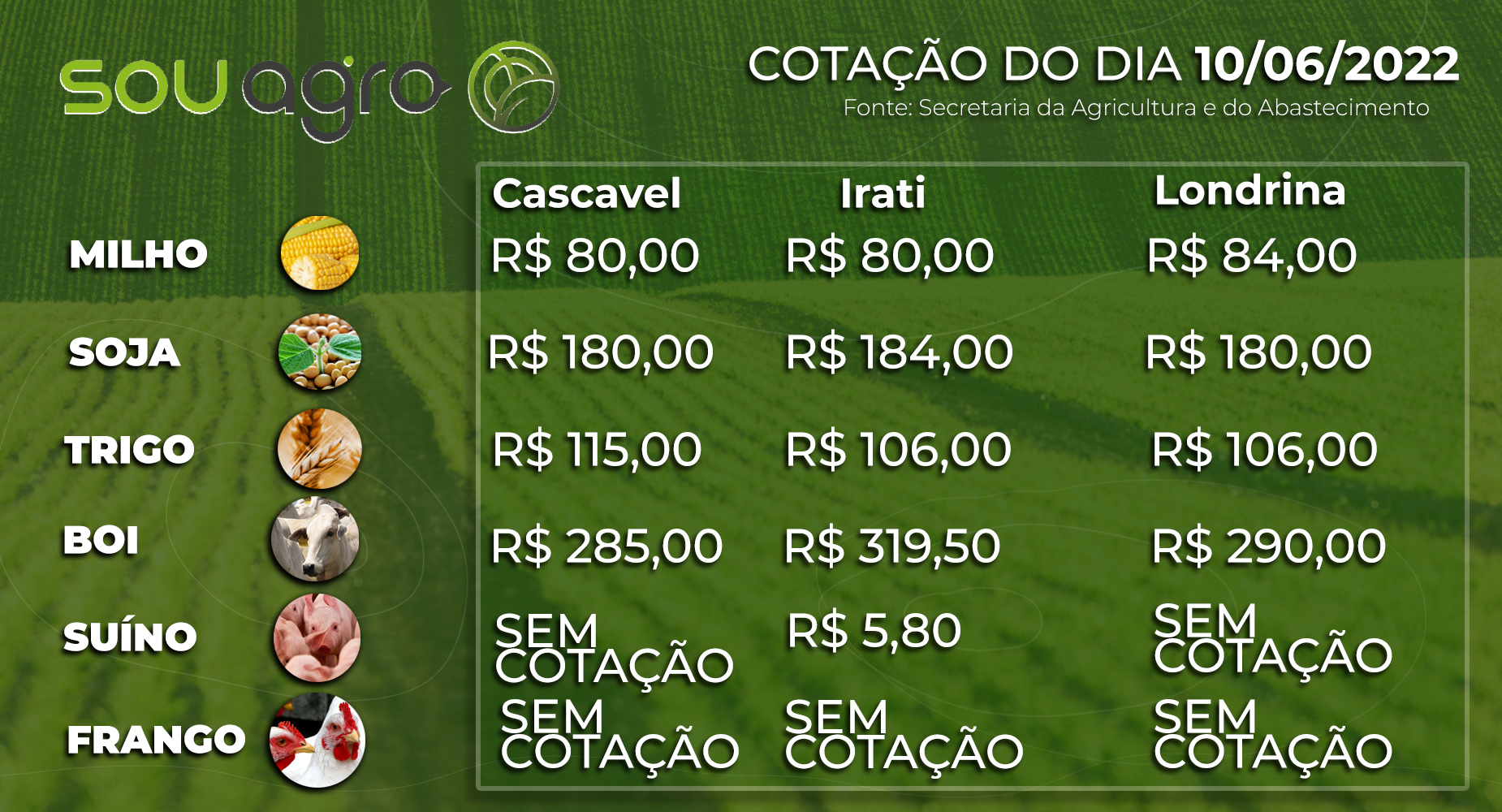 cotações