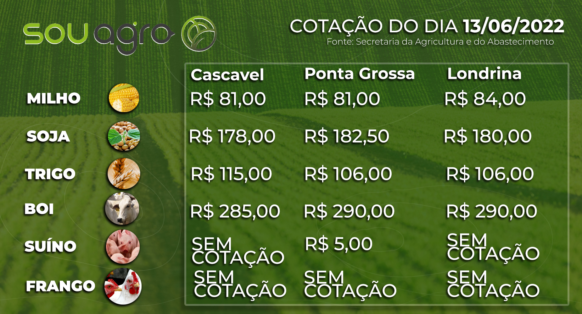 cotações