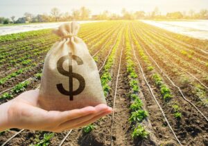 Projeto em análise na Câmara agiliza renegociação de crédito rural