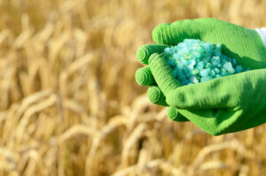 Alta no preço dos fertilizantes pode ser investigada