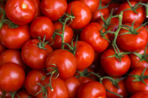 Depois de muitas altas, preço do tomate volta a baixar