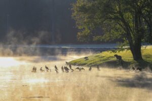 O frio do inverno foi embora de vez ou vai voltar? Descubra na previsão do tempo