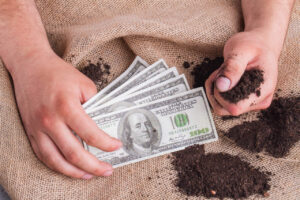 Instabilidade do dólar afeta diretamente o agronegócio