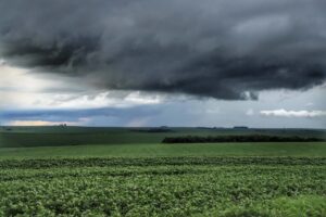 Efeitos do El Niño devem se estender por toda safra de verão