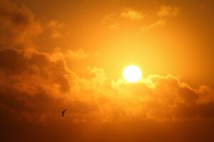 Veja em quais regiões do Paraná o sol deve aparecer neste fim de semana