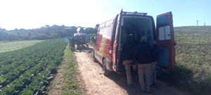 Mulher é pisoteada por vaca enquanto tirava leite no Paraná