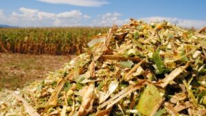 Dez melhores silagens produzidas no Sudoeste do PR vão receber premiação
