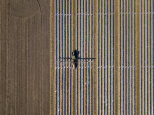 Mesmo com a guerra, Rússia garante que vai entregar fertilizantes ao Brasil