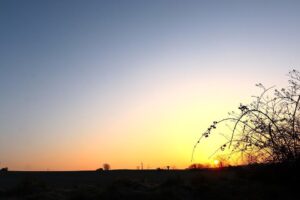 Frio começa perder força e tem sol nesta sexta-feira no PR