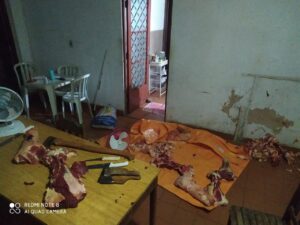 Quadrilha furtava gado para venda clandestina de carne, abate era cruel