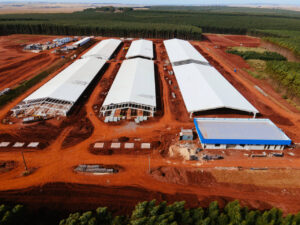 Unidade da C.Vale vai produzir 160 mil leitões por ano