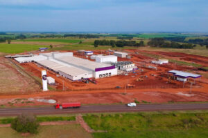 Com expectativa de abater 90 mil frangos por dia, novas indústrias serão inauguradas no Paraná
