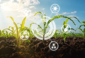 Iniciativa apoia ecossistemas e inovação do Agro
