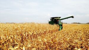 Planejamento sobre inovação do agronegócio garante bons resultados futuros