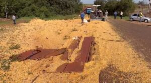 Agricultor perde quase toda carga de milho após acidente
