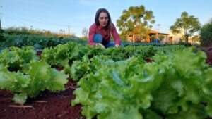 “Meu coração é agro”, diz ex-bancária que virou produtora de orgânicos