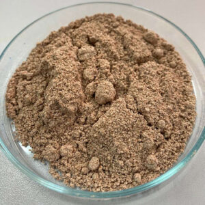 Pesquisa mostra grande potencial alimentar na farinha de sorgo
