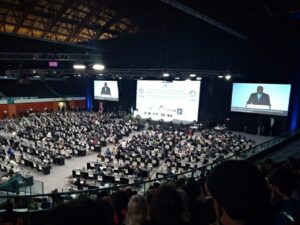 Plataforma será criada para ajudar a combater pesca ilegal