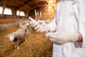 Proposta busca modernizar registro de produtos veterinários