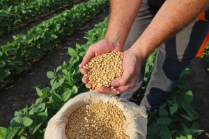 Produtores de biodiesel podem solicitar o Selo Biocombustível Social