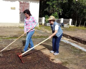 Roteiros de turismo rural recebem apoio para expansão