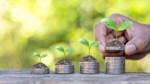 Contratação do crédito rural alcança R$ 293,4 bi no fechamento da safra 2021/22