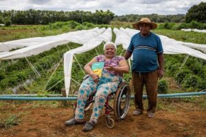 “Não é porque estou numa cadeira de rodas que tenho que me acomodar”, diz produtora de morangos