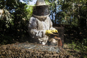 Capacitação de produtores rurais aumenta renda nas propriedades