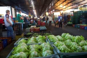 Depois de muita altas, preços dos produtos mais consumidos nas Ceasas começam a baixar