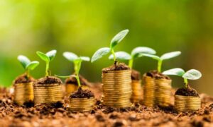 Comissão de Agricultura aprova R$ 2 bilhões de orçamento para o agro