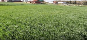 Muita novidade e tecnologia no Show Rural de Inverno 2022